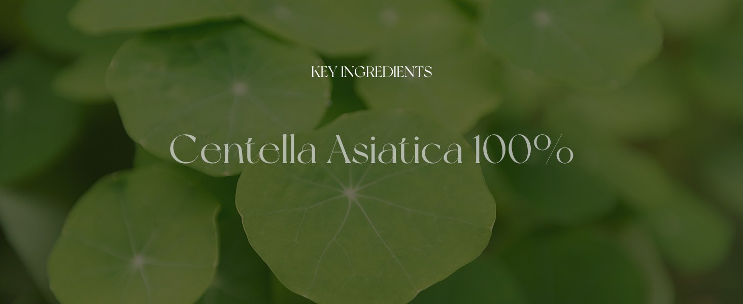 Madagascar Centella Asiatica Ampoule Facial Serum