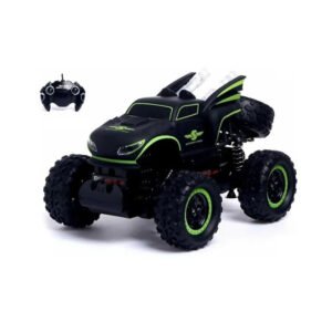 RC Monster Climbing Car